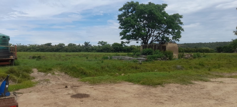 Commercial Property for Sale in Komga Rural Eastern Cape